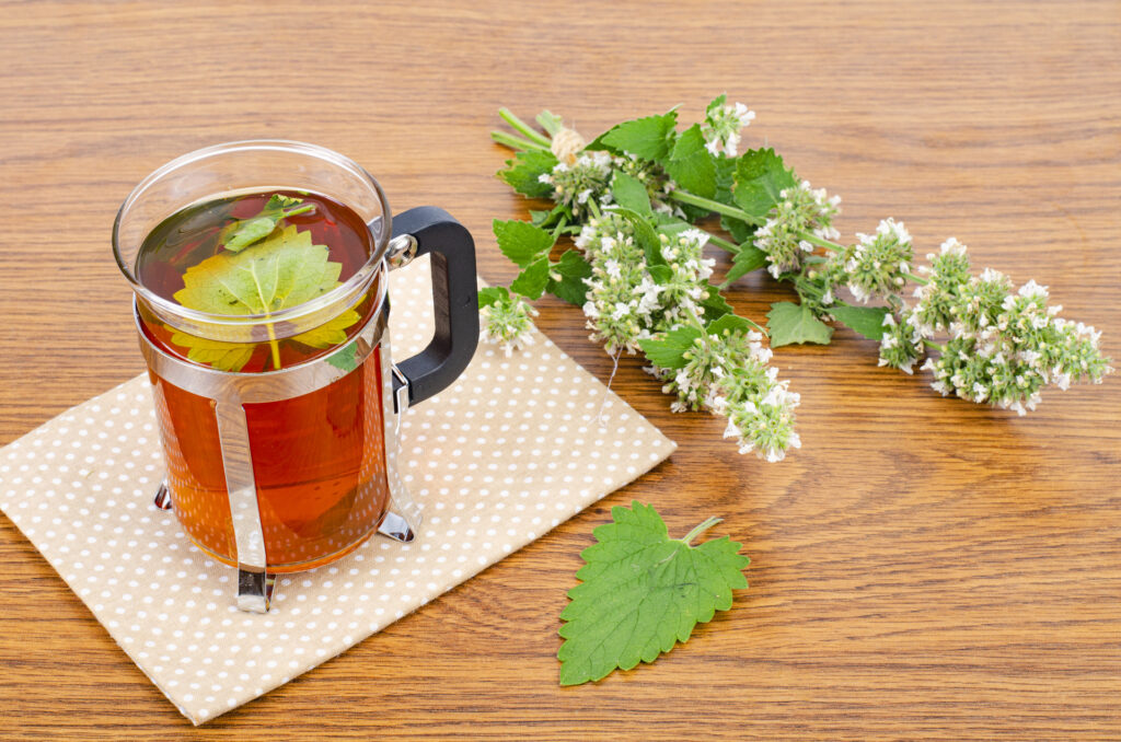 A cup of lemon balm tea grown from the herb garden.