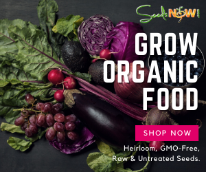 organic seed promotion