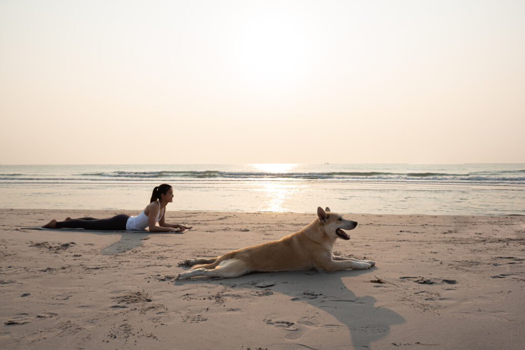 Woman doing yoga on a beach with dog.