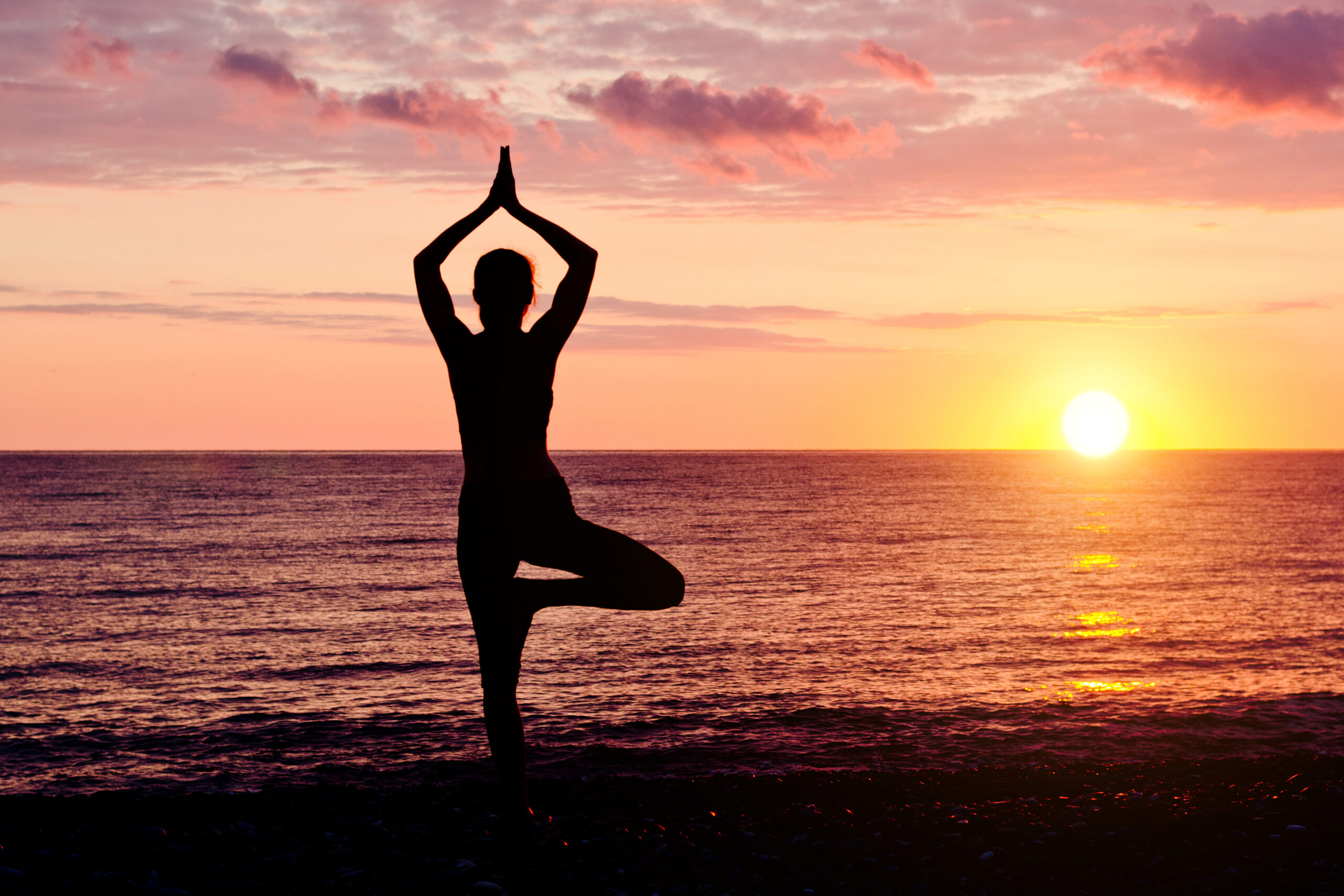 Read more about the article “Self-Care and Yoga: A Path to Wellness”