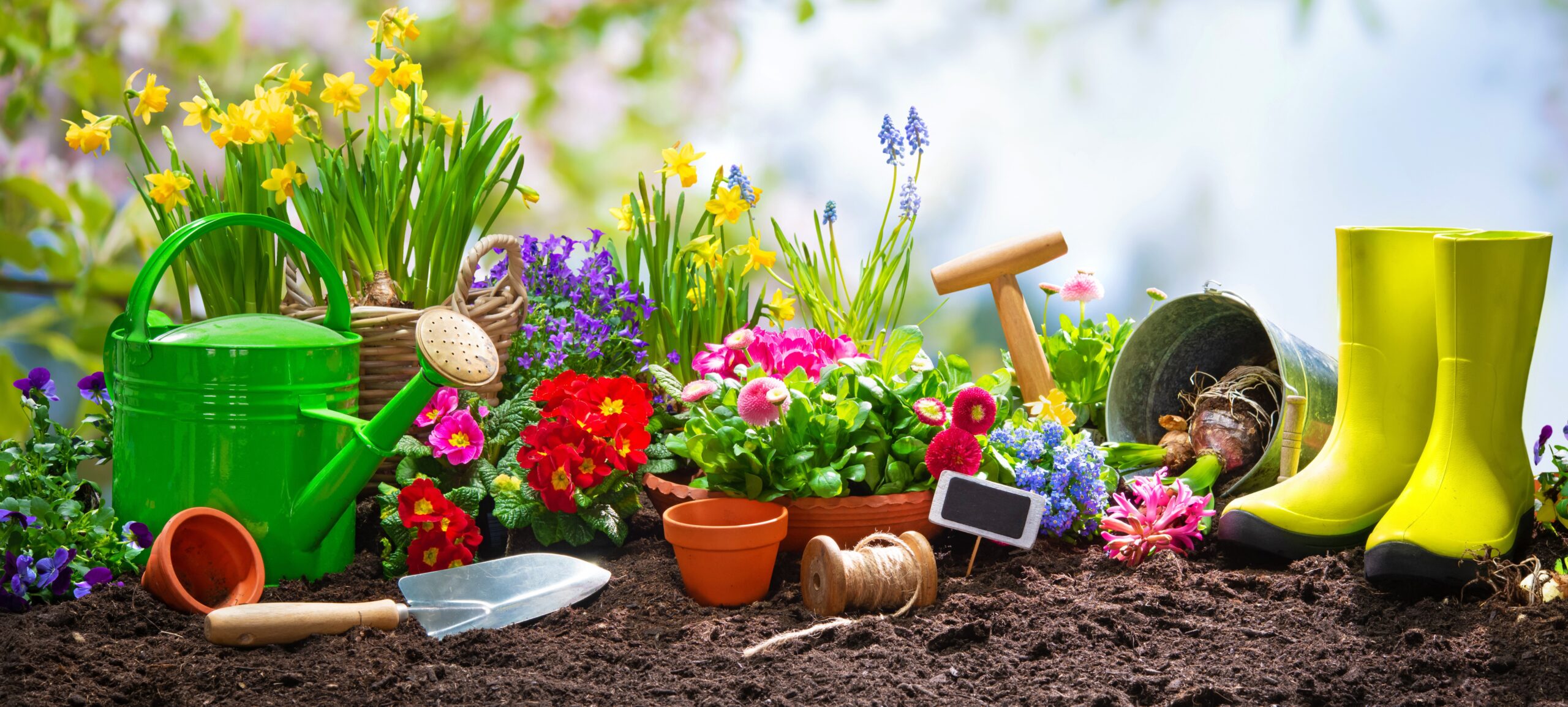 Read more about the article “Self-Care & Gardening: Grow Inner Harmony”